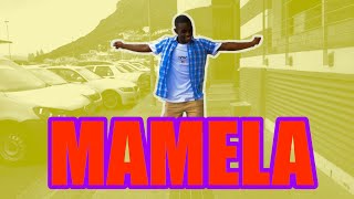 MI CASAMAMELA Dance Video [upl. by Aseeram]