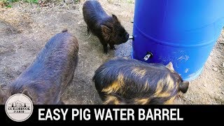 Building an Easy Automatic Pig Watering System [upl. by Gerc291]