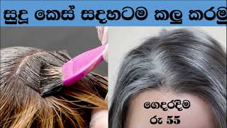 සුදු කෙස් පටස් ගාල ඩයි කරමු home made hair dye in 30 minutes [upl. by Nolek]