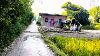 indian village nature vlog  village vlog  green tree  wetland  greenery vlog  gaon  village [upl. by Wunder925]