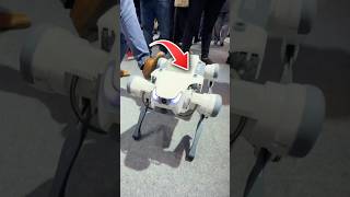 Meet the Robot Dog That Can Survive a Kick Powered by Huawei Cloud 💥🐕 SHORTS [upl. by Norad]