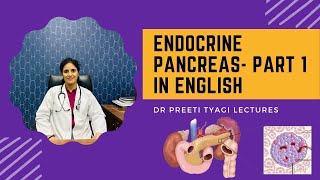 ENDOCRINE PANCREAS PART 1  in English [upl. by Esorrebma]