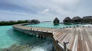 Milaidhoo Island Maldives  nice walking from Water 💦 Villas to Island 🏝️ [upl. by Rabka2]