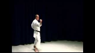 Shotokan Karate Kata Brown Belt Kata [upl. by Lirret]