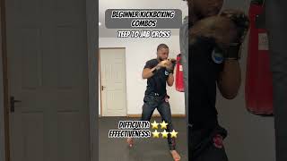 BEGINNER KICKBOXING COMBOS [upl. by Eselehs91]