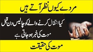 کيا انتقال کرنے والے کو چاليس دن قبل موت کي خبر ہوجاتي ہے  Mysterious Signs Of Death [upl. by Eselrahc]