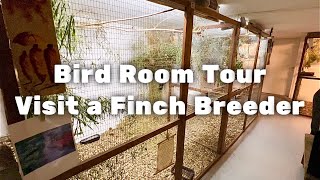 Breeding Finches  Bird room tour  Visit a breeder  S2Ep3 [upl. by Anirtac16]