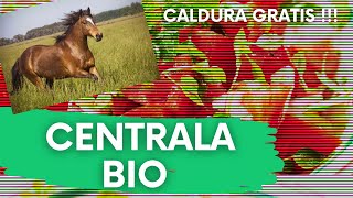 Caldura Gratis FREE Iarna   Centrala Termica BIO pe Compost sau BIOReactorul [upl. by Atsirc51]