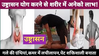 उष्ट्रासनUstrasana BenefitsBaba Ramdev UstrasanaVijay Yogasan [upl. by Harts]