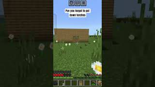 Minecraft Pov you forgot to pot down torchesminecraft minecraftshorts minecraftbuildingtutorial [upl. by Terrilyn]