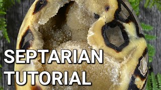 Septarian Tutorial [upl. by Seuqram]