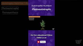 Photoautotrophs  Autotrophs  Autotrophic Nutrition  Plants  Autotrophs amp Heterotrophs shorts [upl. by Uttica266]