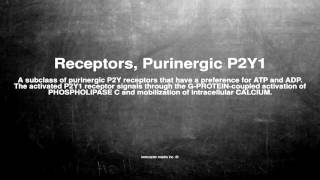 Medical vocabulary What does Receptors Purinergic P2Y1 mean [upl. by Ardaid]