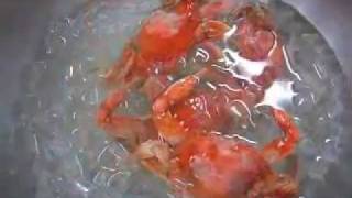 How to Boil Blue Crabs [upl. by Elyod549]