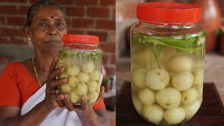 Salted Gooseberry Recipe  Nellikka Uppilittathu  Amla Pickle Recipe [upl. by Ahtiek246]