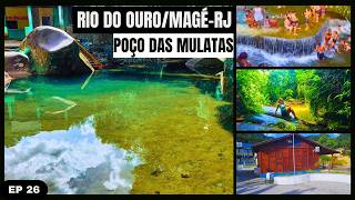 O que fazer em Rio do OuroMagé  RJ Cachoeira Rio do Ouro Poço das Mulatas Sítio Alvorada Poços [upl. by Bolen4]