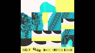 Bicep  Glue Dave Andres Remix [upl. by Patricia]