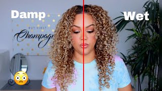 Styling curly hair DAMP vs SUPER WET  Which is BETTER [upl. by Henarat]