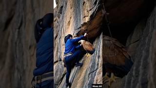 Majestic Eagle Rescue From Cliffside Danger to Skyward Freedom eaglerescue wildlifesaving [upl. by Germaun]