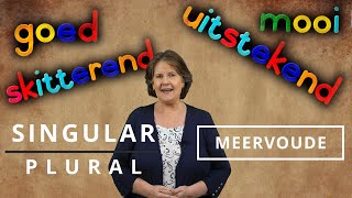 How to CHANGE WORDS in Afrikaans from the SINGULAR to PLURAL  Meervoude  Part 1 [upl. by Leventis]