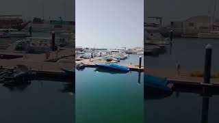 🚢 thankyougod trending viral marina snorkeling sea breakwaters almouj oman trendingshorts [upl. by Kostman161]