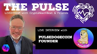 The Pulse LIVESTREAM  Interview with Founder of PulseDogeCoin [upl. by Grizel858]