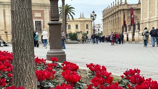 Spain Seville old town December 29 2023 [upl. by Bysshe]