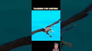 Peregrine Falcon attack full speed wildlife birdofprey animals peregrinefalcon falcon shorts 🥶 [upl. by Codee]