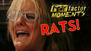 Fear Factor Moments  Bobbing in Rats [upl. by Hahsia]