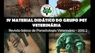 Ectoparasitas de Importância Veterinária  Carrapatos Piolhos Pulgas e Sarnas [upl. by Lemmie]