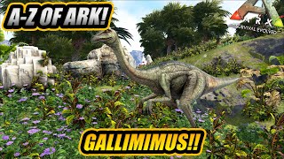 AZ Of Ark The GALLIMIMUS The Fastest Sprinting Dino  Ark Survival Evolved [upl. by Katerina]