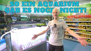 Ein ganz neuer Einrichtungsstil Wir bauen ein Imugawi Aquarium [upl. by Cheatham868]