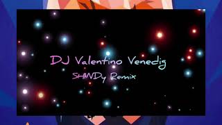 DJ Valentino Venedig  Shindy Remix [upl. by Nairadal]