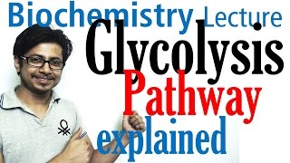 Glycolysis biochemistry [upl. by Nnaitsirk707]