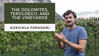 Agricola Foradori the Vineyards the Dolomites and the Teroldego Wine [upl. by Allie]