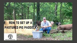 Getting Started With Pastured Pork  How To Set Up A Pastured Pig Paddock [upl. by Louisette]