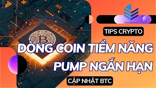 DÒNG COIN TIỀM NĂNG TĂNG TRƯỞNG TRƯỚC HALVING  CLAIM BONUS SÀN PRIMEXBT  TIPS CRYPTO [upl. by Obie]