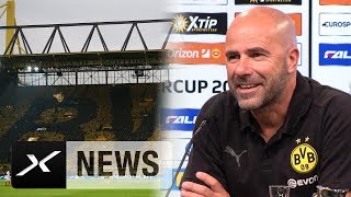 Peter Bosz quotFreue mich auf die Gelbe Wandquot  Borussia Dortmund  FC Bayern München [upl. by Siaht961]