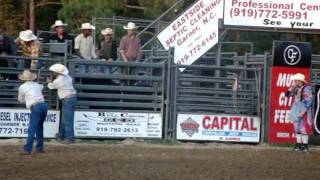 Rodeo USA bull attacks cowboy on horse [upl. by Alimat]