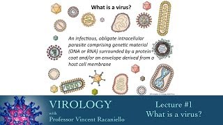 Virology 2014 lecture 1  What is a virus [upl. by Sisile861]