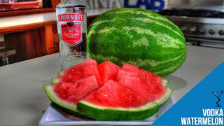 Easy Vodka Infused Watermelon Recipe The Ultimate Summer Treat Popular [upl. by Imotih]