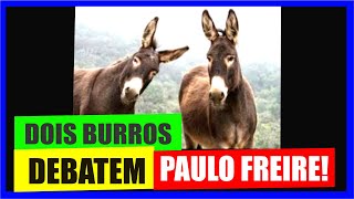 VERGONHA ALHEIA DOIS BURROS DEBATEM PAULO FREIRE [upl. by English]