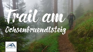 MTB Trail am Ochsenbründlsteig [upl. by Cart757]