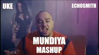 Mundian Tu Bach Ke  Panjabi MC  UKE X ECHOSMITH MASHUP [upl. by Four686]