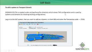 SAP Basis  Adding a System to TMS [upl. by Zantos]