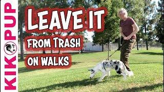 Train your dog LEAVE IT from TRASH and FOOD on WALKS [upl. by Eanrahs]