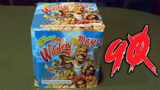 Wilder Days  25 Shot 200G Firework fireworks pyro [upl. by Kletter]