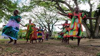 Olfala Malekula Kastom Dance [upl. by Devy]