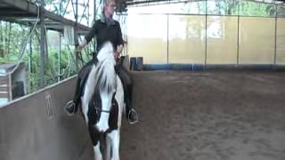 Reitkurs am 28u29412 VierhausWMV [upl. by Ladiv]