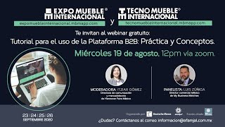 Webinar Tutorial para el uso de la plataforma B2B Práctica y Conceptos [upl. by Laiceps732]